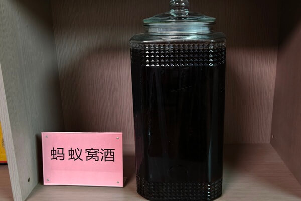 蚂蚁窝酒